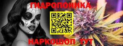 стафф Пенза