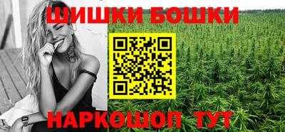 стафф Пенза
